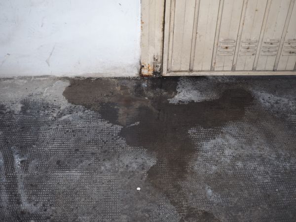 Dampness Prevention Service